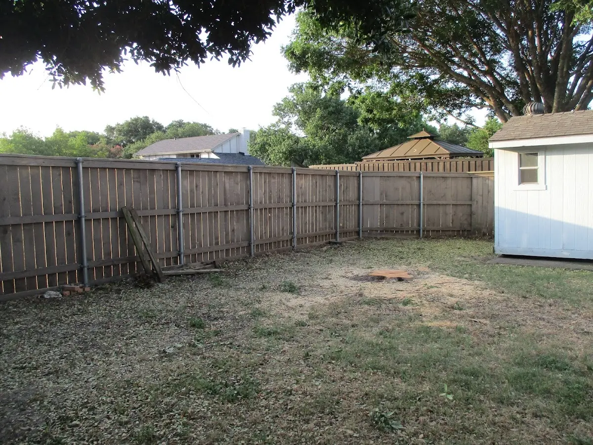 Cleared yard after professional tree removal in Janesville