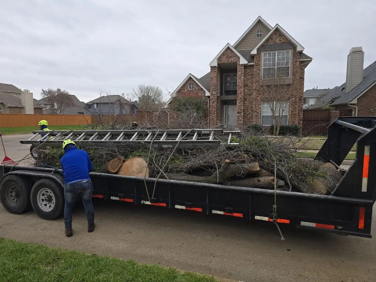 Expert Tree Pest Control with proper safety equipment in Janesville